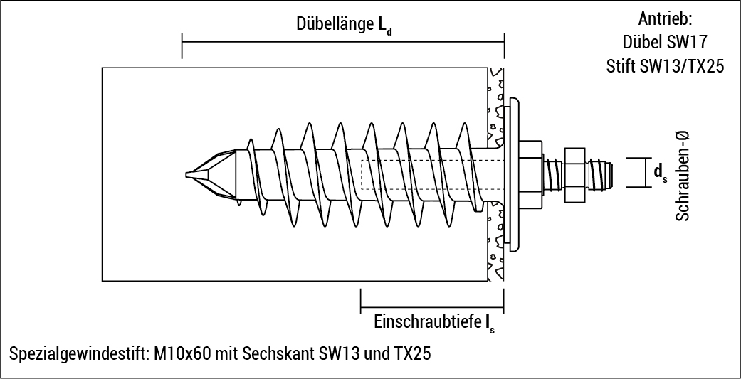 Celo IPL 95 DS Dämmstoffdübel - M10 Beutel a 4 St.  f.Schellen/WDVS